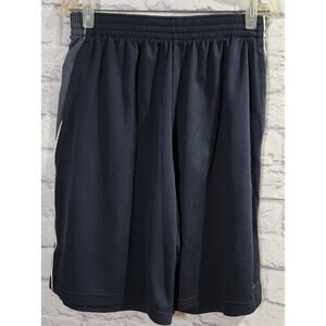 Champion Blue Gray White Stripe Athletic Shorts Large Lightweight Soft Pull On